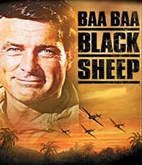 Black Sheep Squadron - Complete Series (image for) Black Sheep Squadron - Complete Series